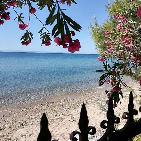 Eleni Apartment Nikiti (Sithonia)